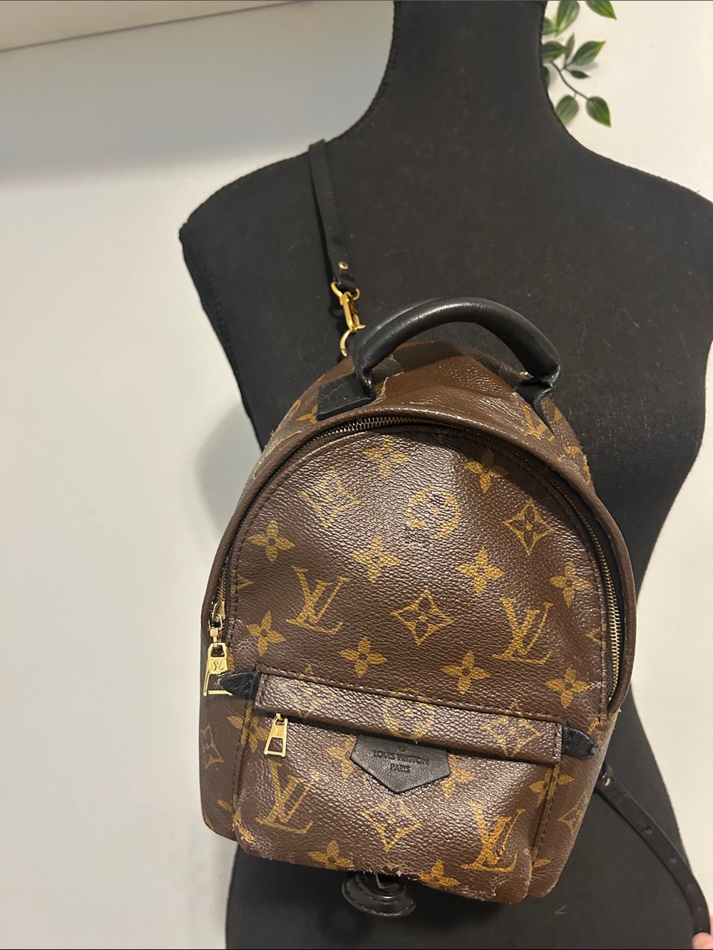 Louis Vuitton Monogram Mini Palm Springs Backpack in Brown and Gold * peeling